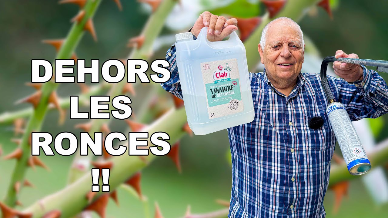 Mes 4 astuces INFAILLIBLES pour DÉSHERBER ! (ronce, liseron, Chiendent...)