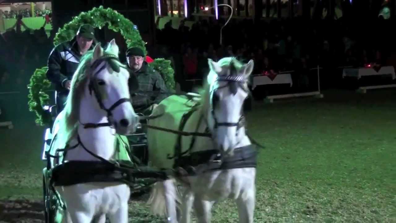 Galashow 2012 - Nikolaus mit Schimmel