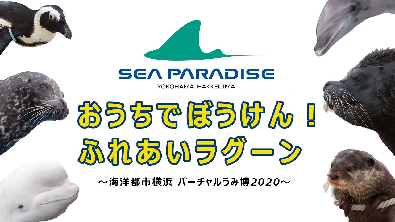 おうちでぼうけん！ふれあいラグーン【バーチャルうみ博2020】