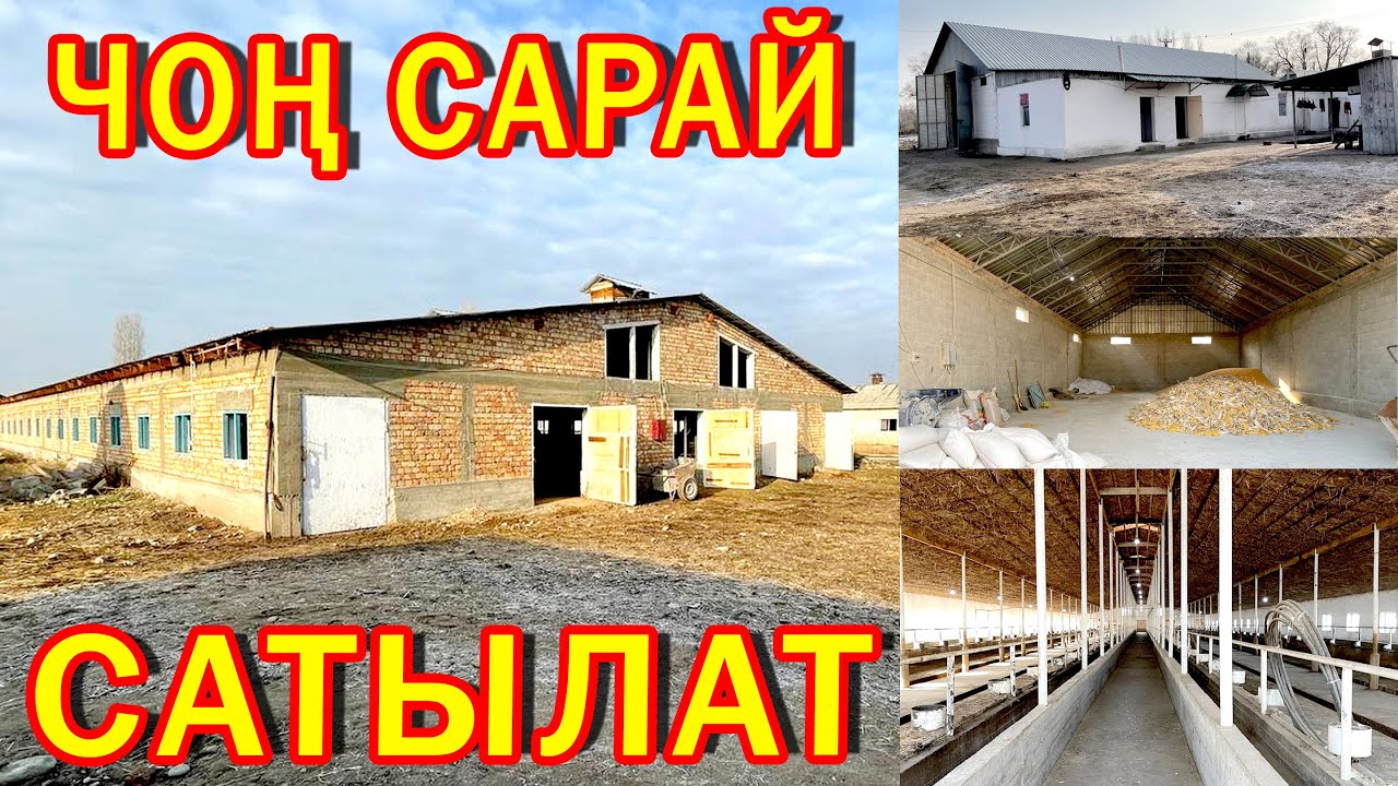 Охоо! 500 БУКАГА ылайык ЧОҢ САРАЙ сатылат ~ Жери 2 гектар