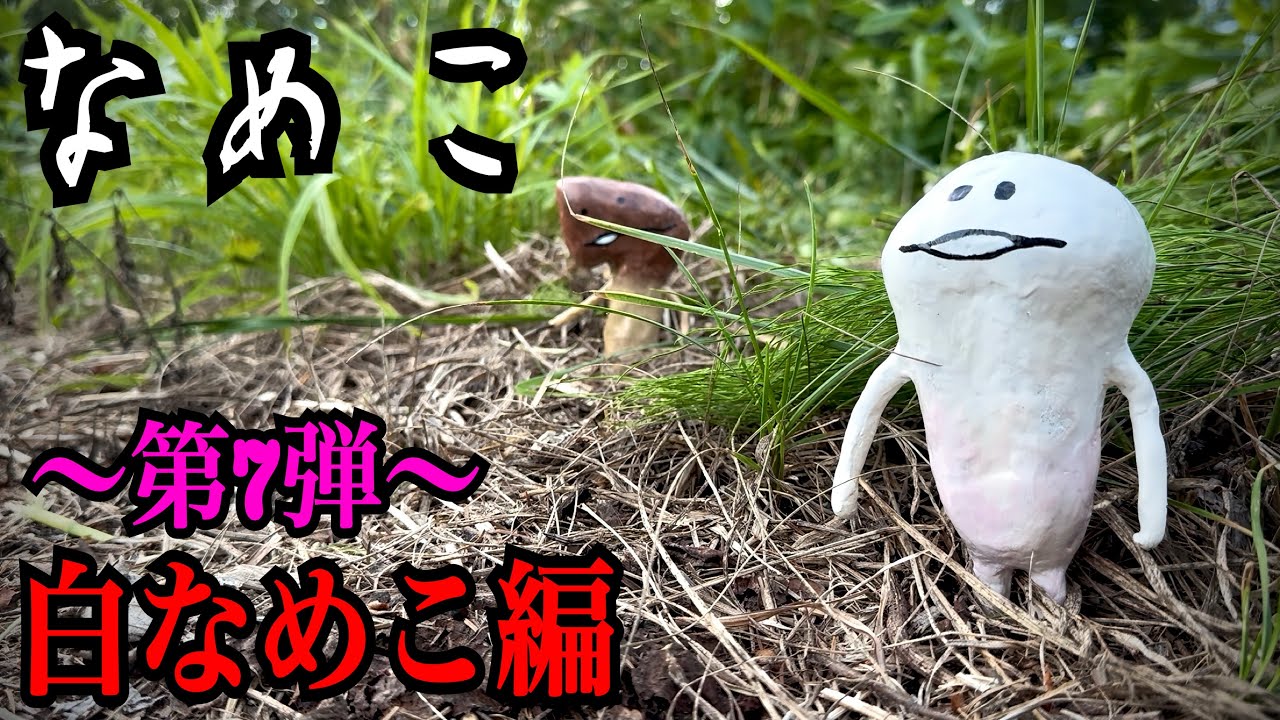 【なめこ】白なめこ見つけるまで帰れません！！！！