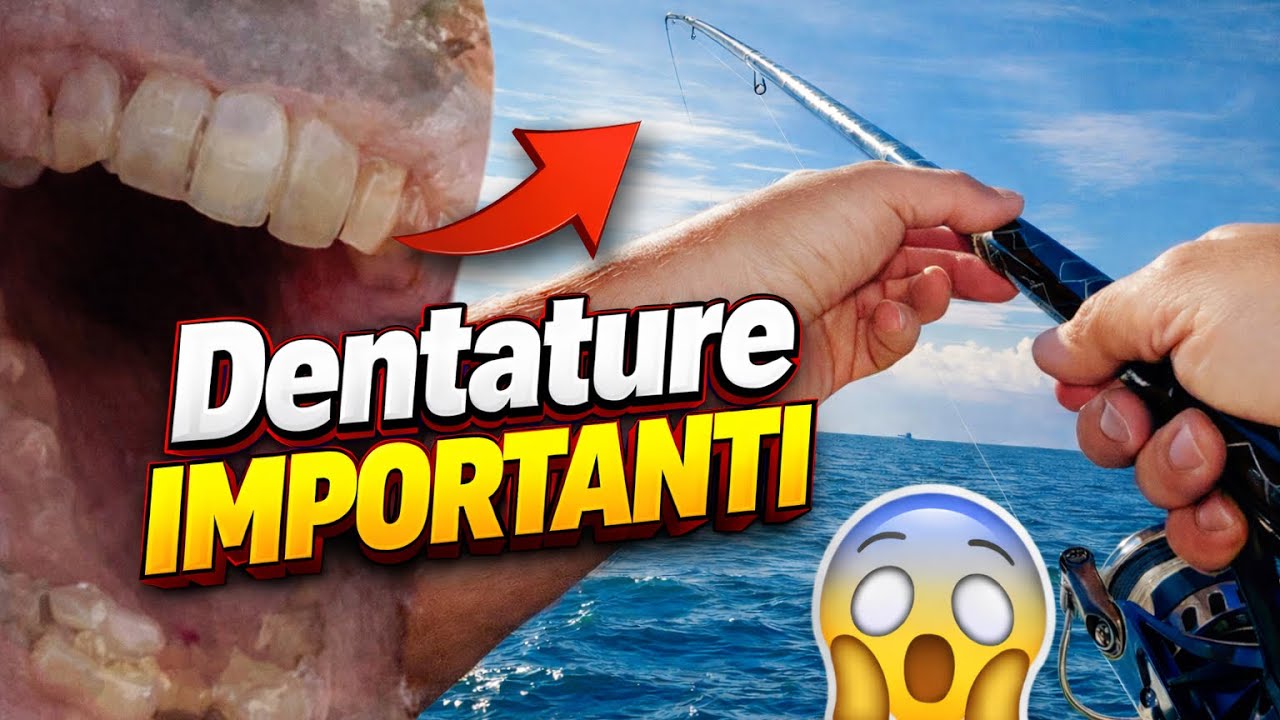 Pesca a Bolognese dalla Scogliera: Dentature Importanti ci Distruggono le Lenze!