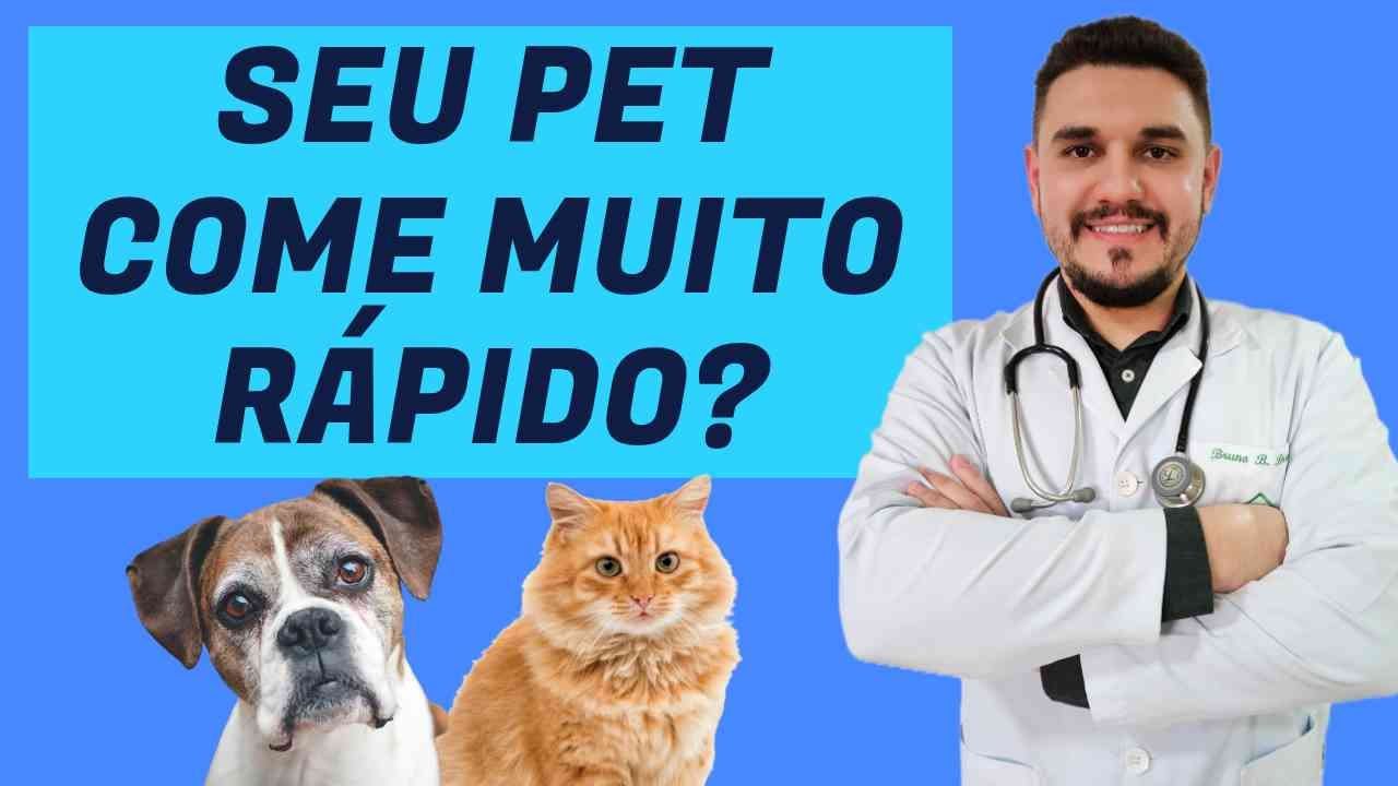 COMEDOURO LENTO INTERATIVO PARA CÃES E GATOS
