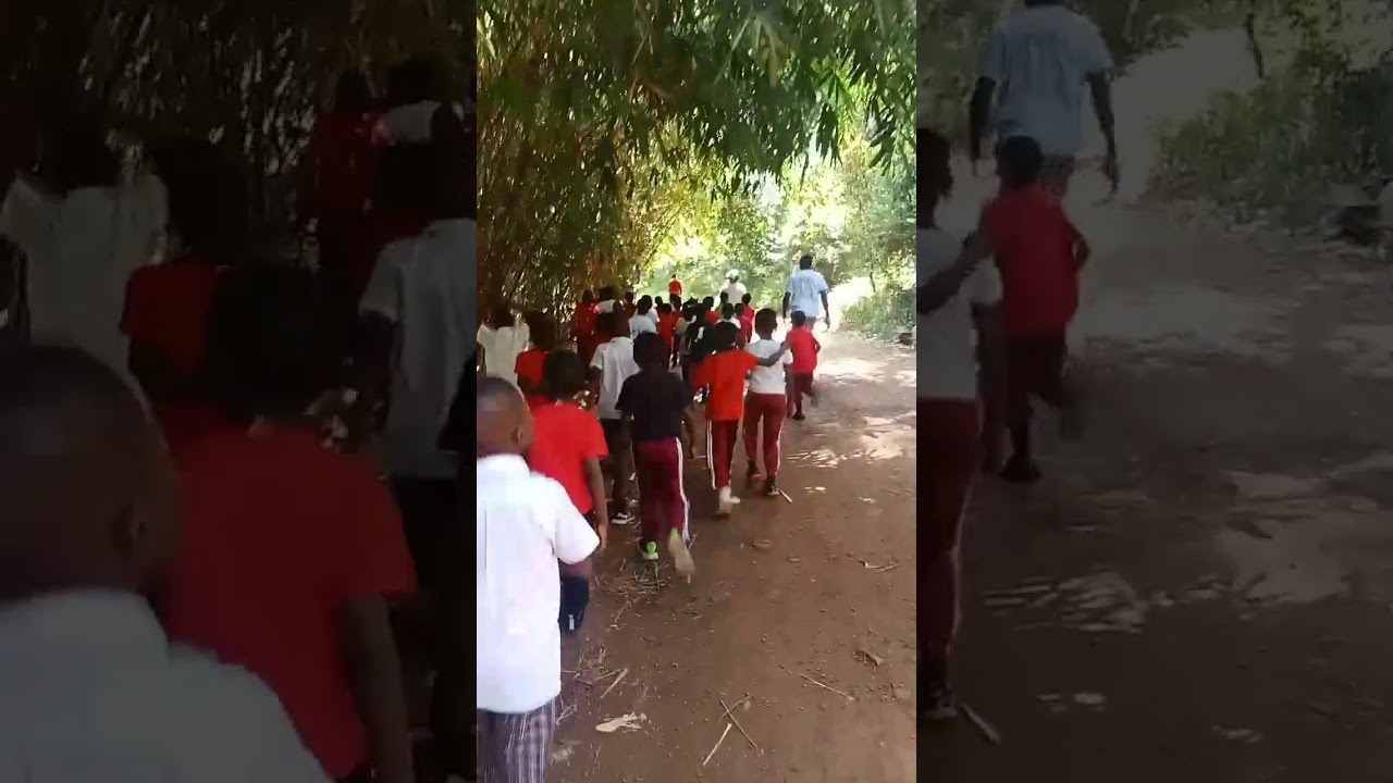 Sounds of the forest: The crunch of  dry leaves