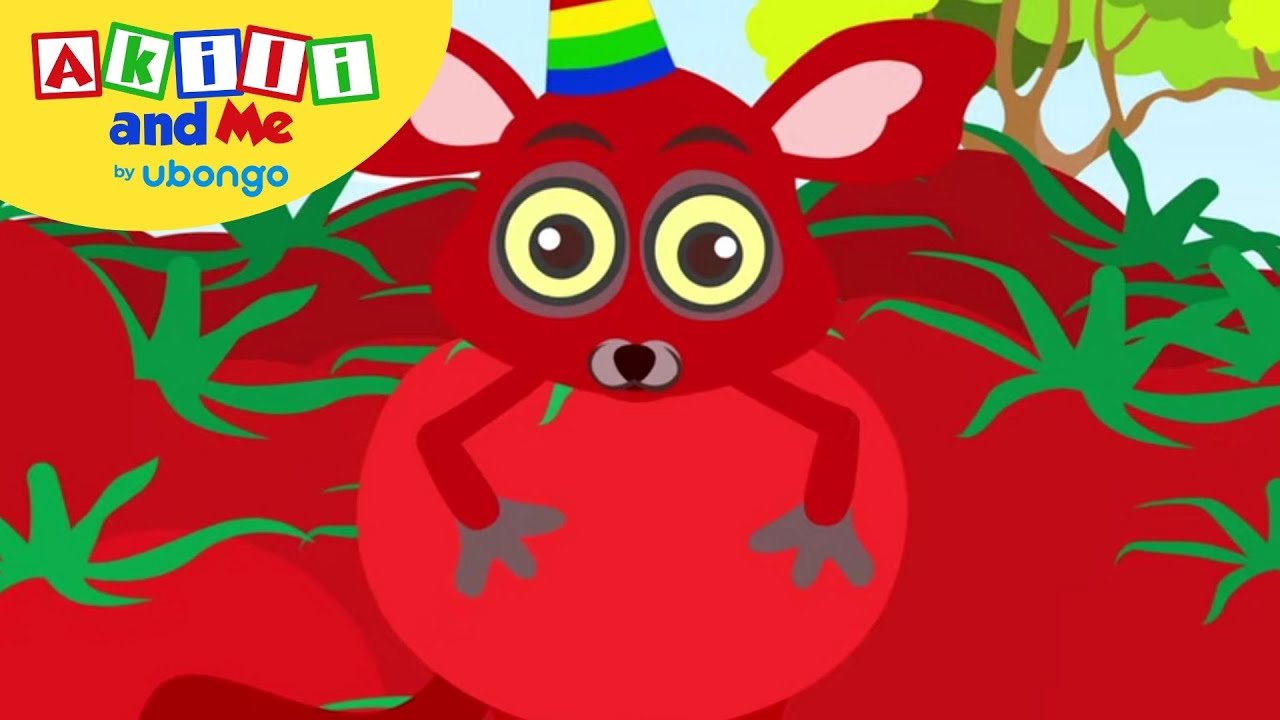 STORYTIME: The Magic Seed! | New Words with Akili and Me | African Educational Cartoons
