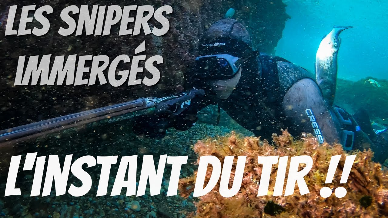TUTO : Apprendre à viser en chasse sous-marine