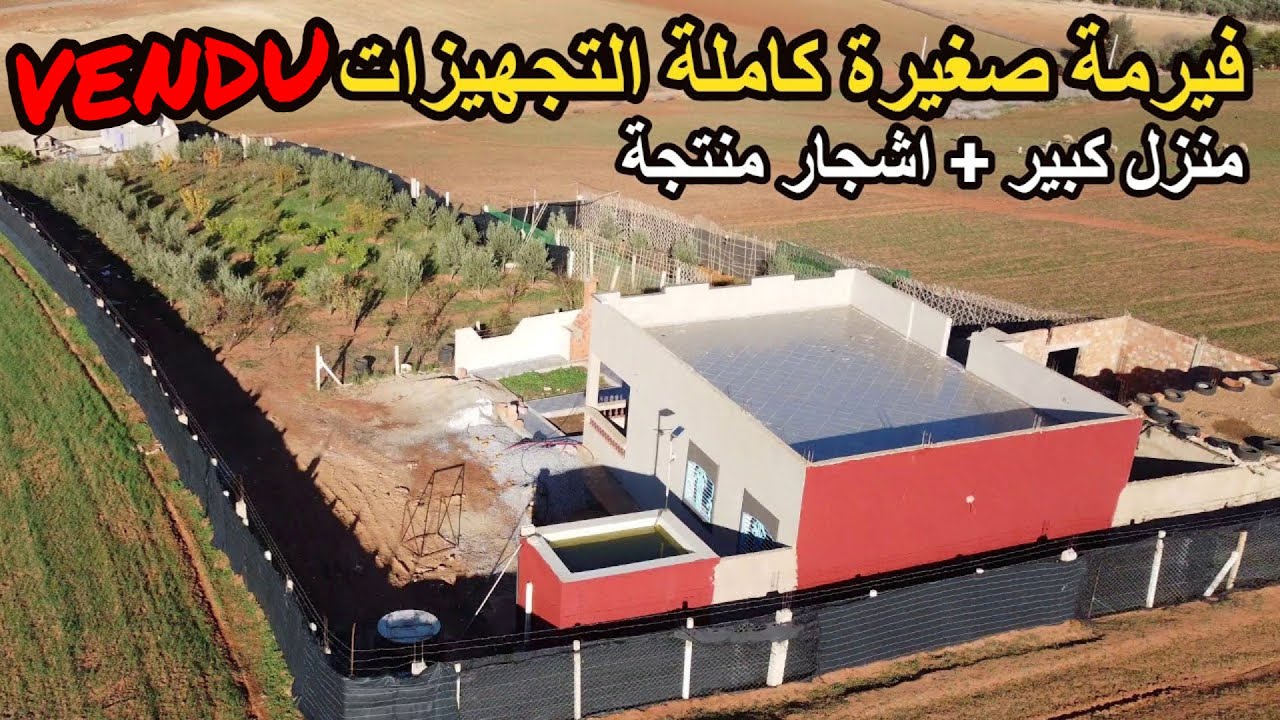 ✨هادي فيرمة صغيرة واجدة ليك والاسرة ديالك فقط 3000 متر محفظة بمنزل كبير وجميع الاشجار ✨الخميسات