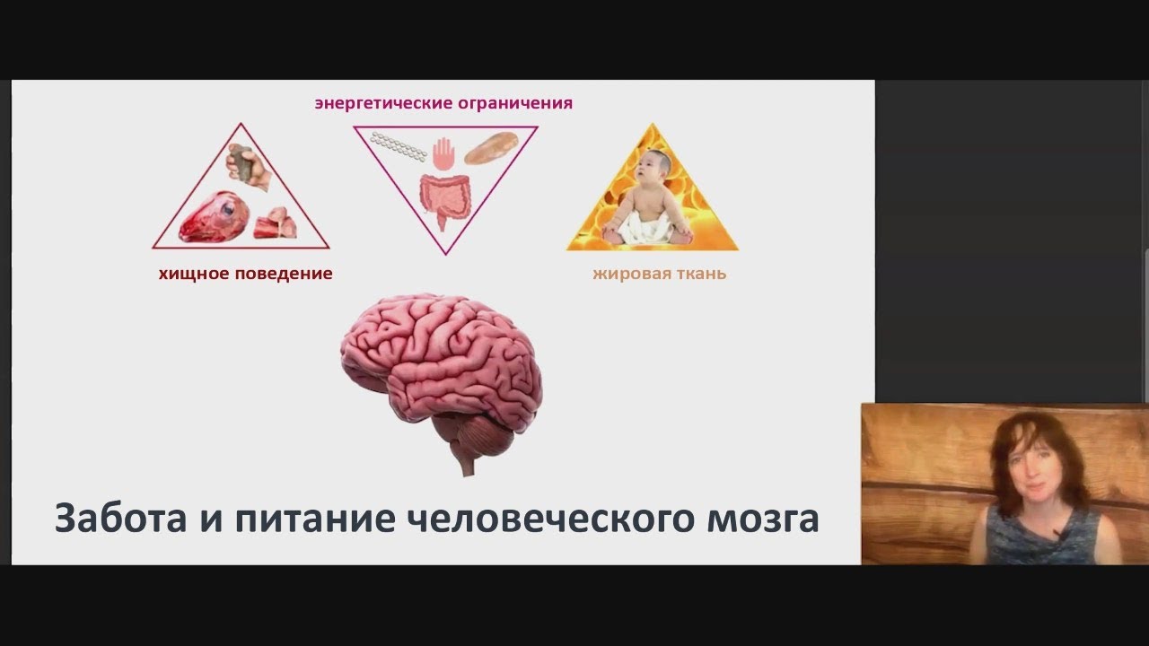 Эмбер О&rsquo;Херн: Мы должны есть жир? Кетогенез, мозг, антропология и почему младенцы такие толстые