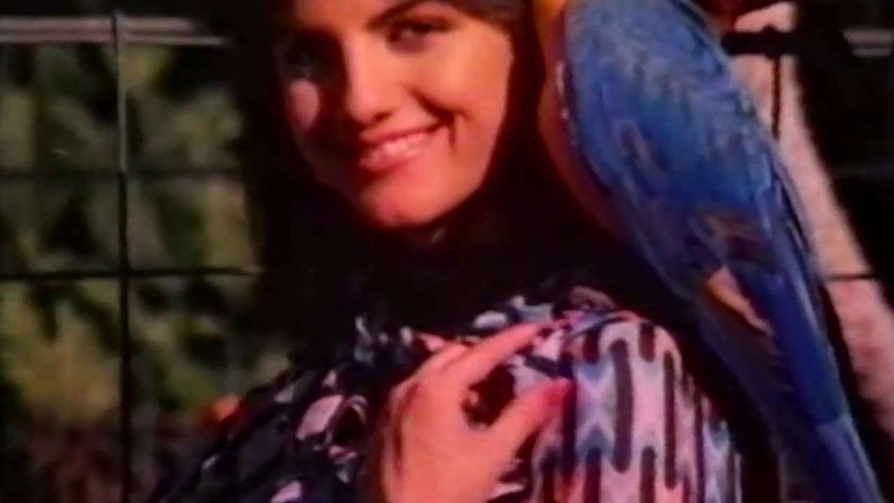 Husein Ki Lawn Parrot Jungle Old Ads   Tariq's PTV Classics 1984   YouTube