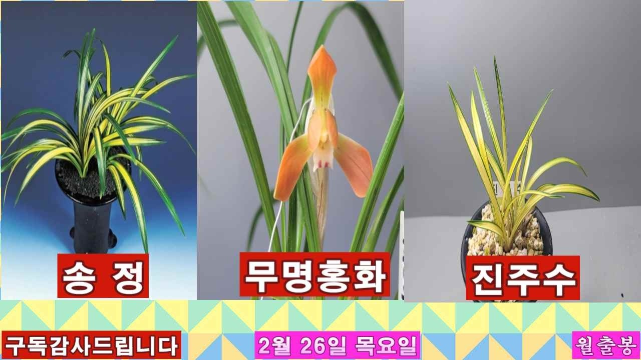 2026 02 26일  목요일  8품종 등재  합니다
