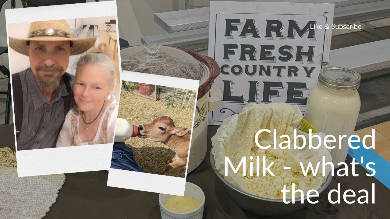 What the Heck is Clabbered Milk?