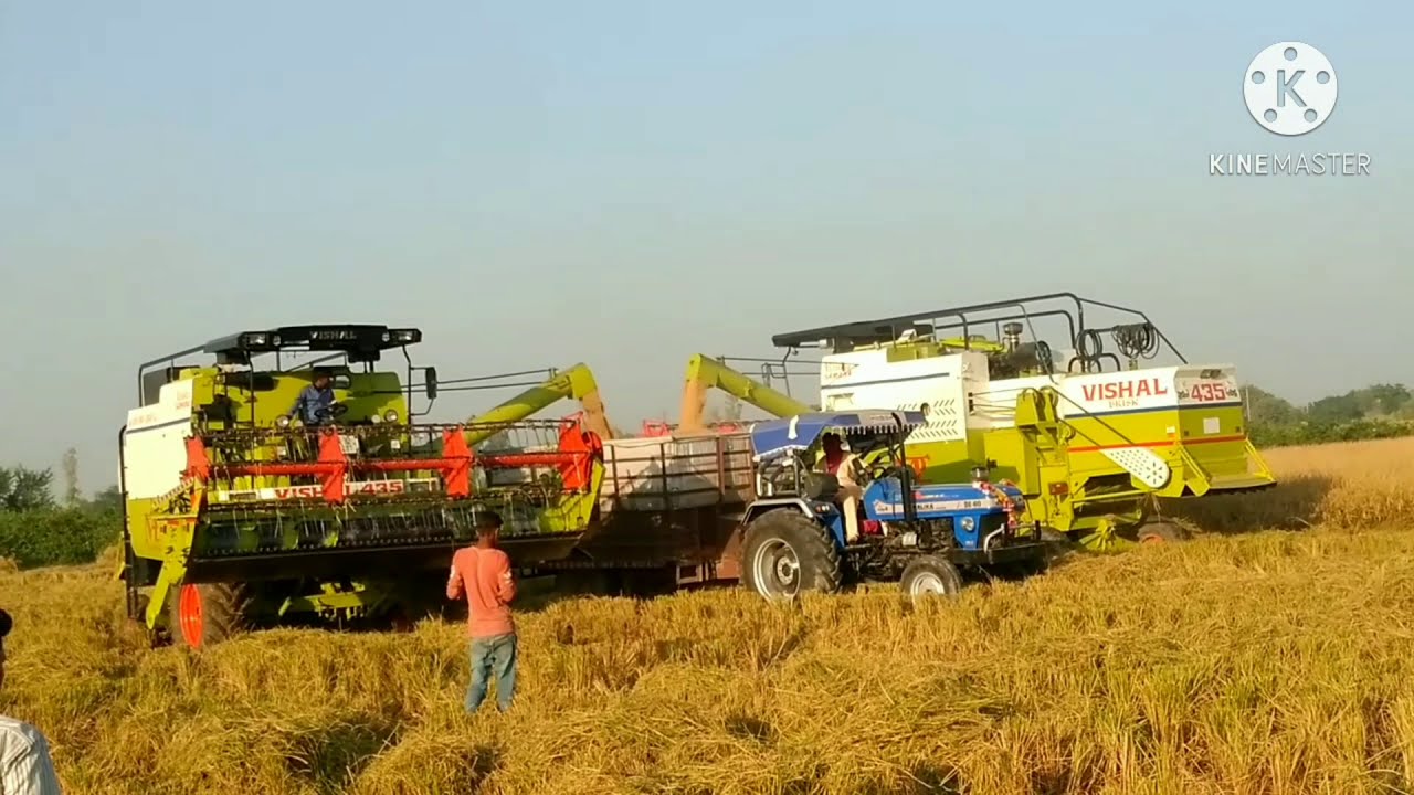Vishal 435 Combine Harvester Working With baldev ji super sms,Review,Performance | Tractorpower |