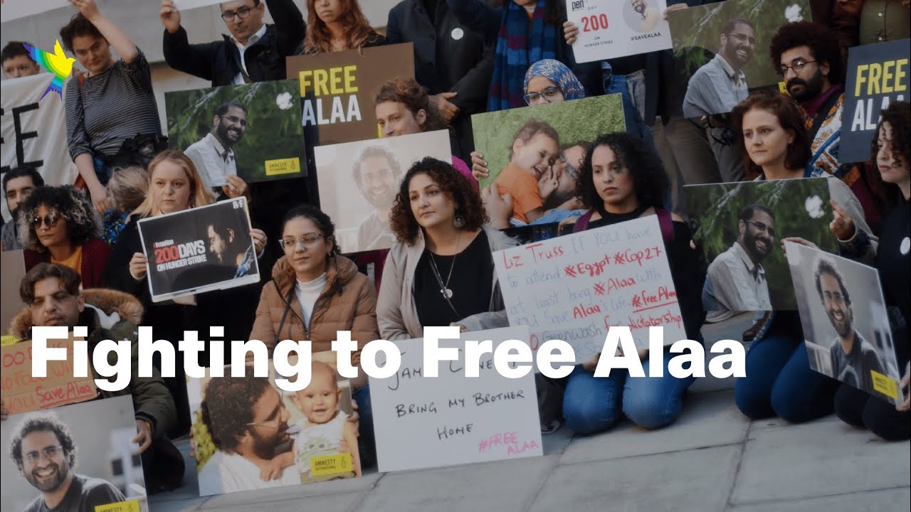 Fighting to Free Alaa
