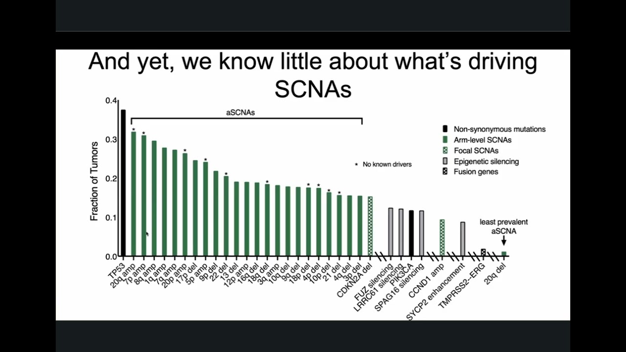 LMP Grand Rounds RBeroukhim 4Mar2026