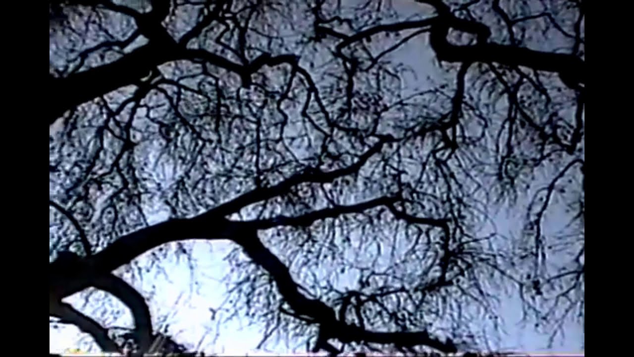 winter sesh 3