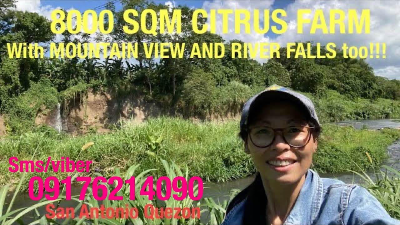 Vlog428: 8000 SQM FARM WITH MOUNTAIN VIEW AND RIVER FOR SALE IN SAN ANTONIO QUEZON PHILIPPINES SOLD