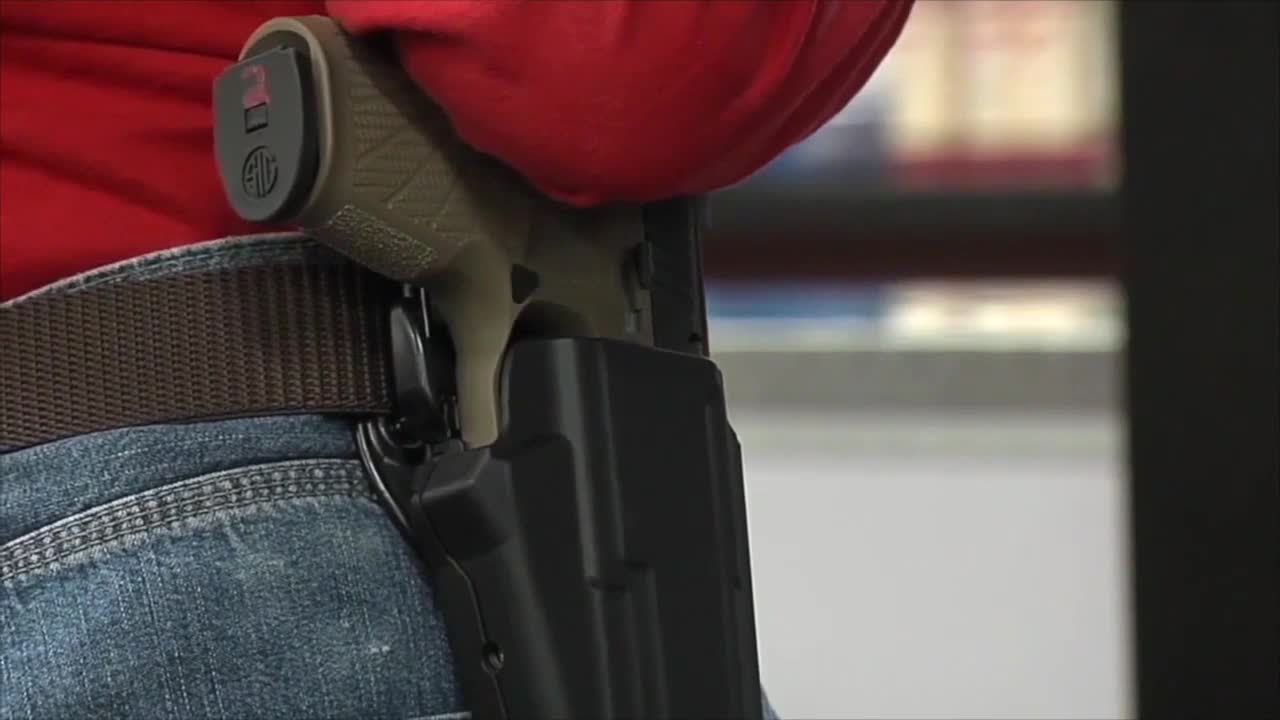 Michigan Republicans propose allowing concealed carry without a license