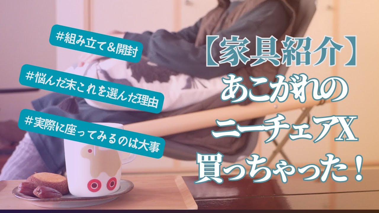 【家具紹介】憧れの！ニーチェアX
