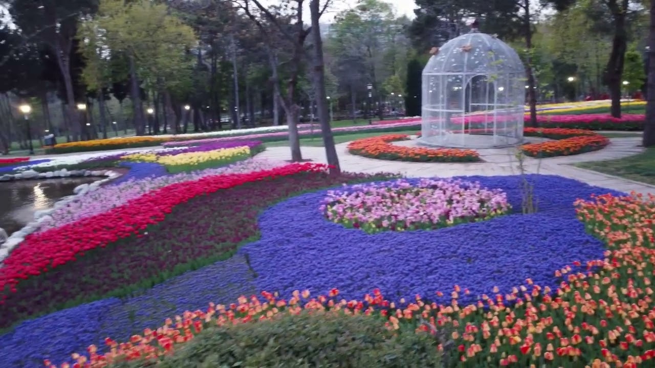 حديقة اميرجان | Emirgan Park Istanbul