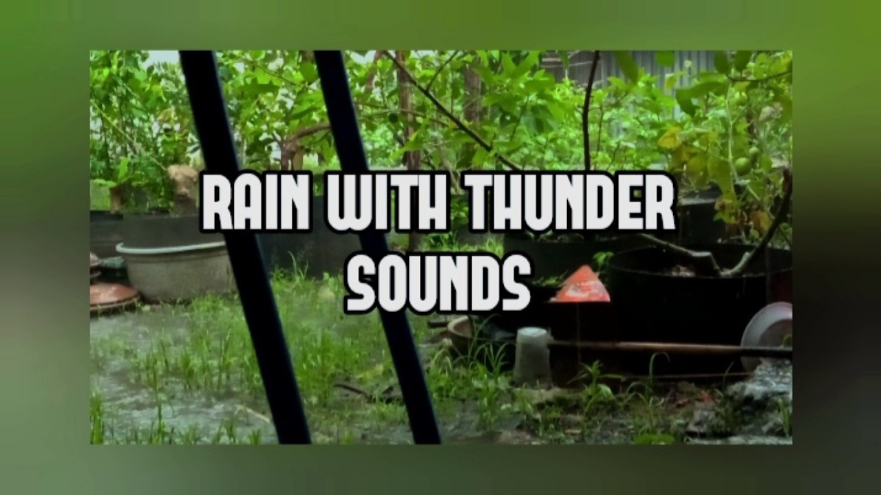 Rain with Big Thunder Sounds for Sleeping and Focus | Nature Sounds ASMR