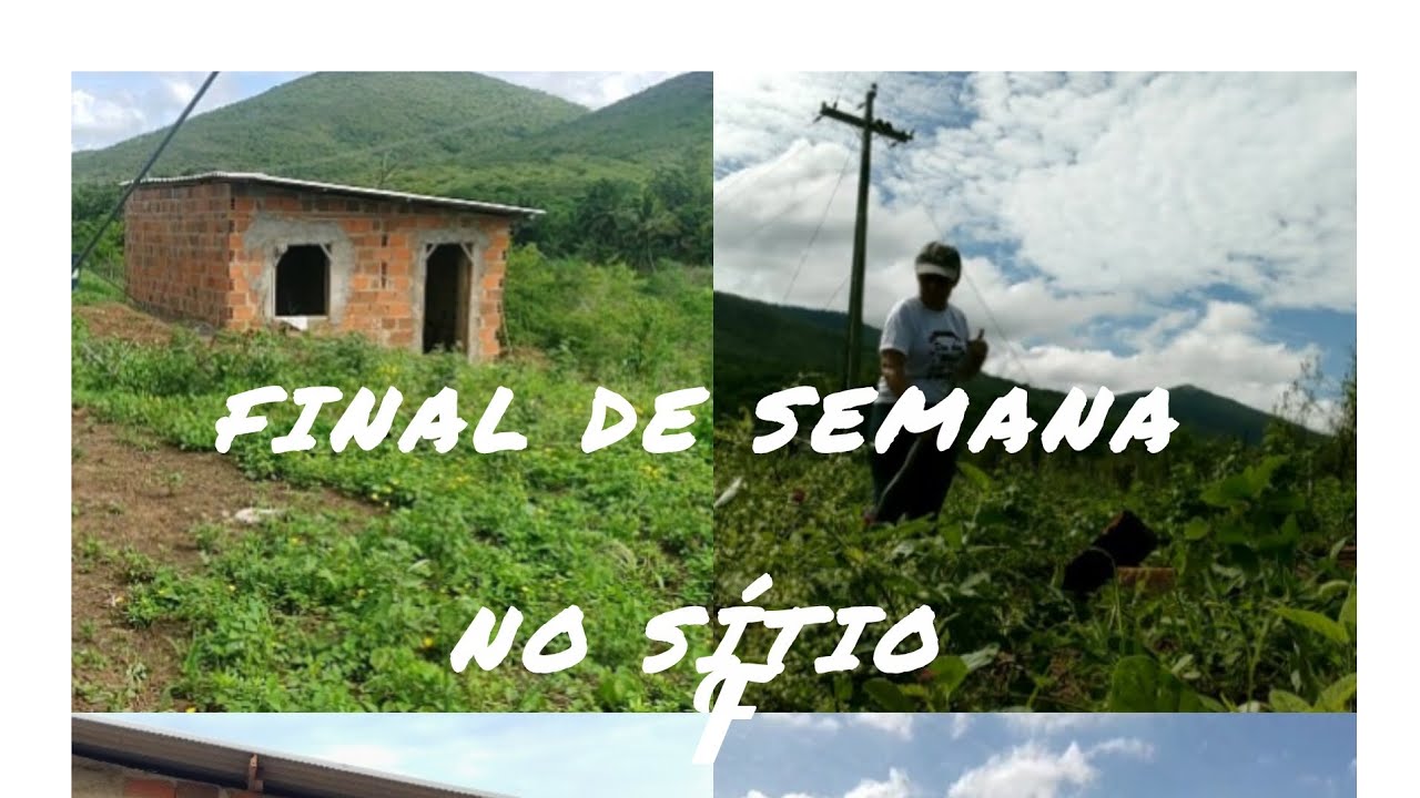 FINAL DE SEMANA NO SÍTIO fazia dias que não tinha ido lá capinarmos a frente da casinha 