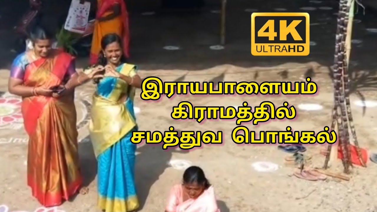 இராயபாளையம் கிராமத்தில் சமத்துவ பொங்கல் வைத்து கொண்டாடிய பெண்கள்