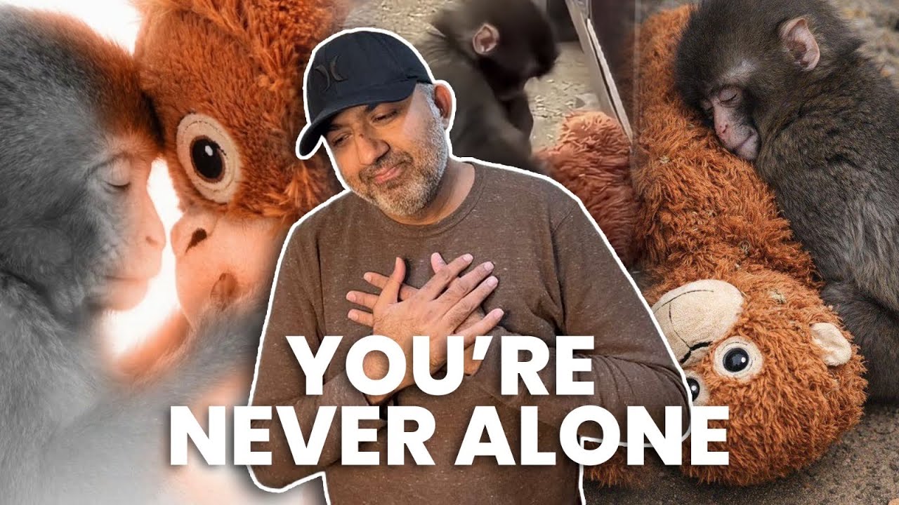 You’re Never Alone 