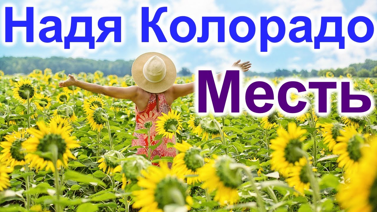 Надя Колорадо.Месть