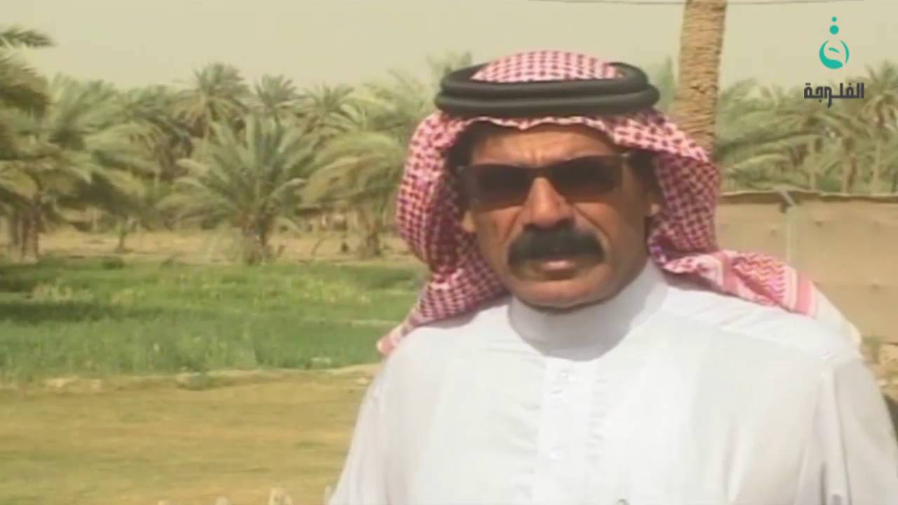 نزوح 350 عائلة من الفلوجة الى المحاويل في محافظة بابل