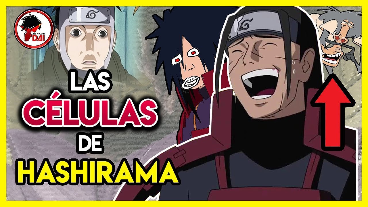 Naruto: Explicando las CÉLULAS de HASHIRAMA de Naruto Shippuden