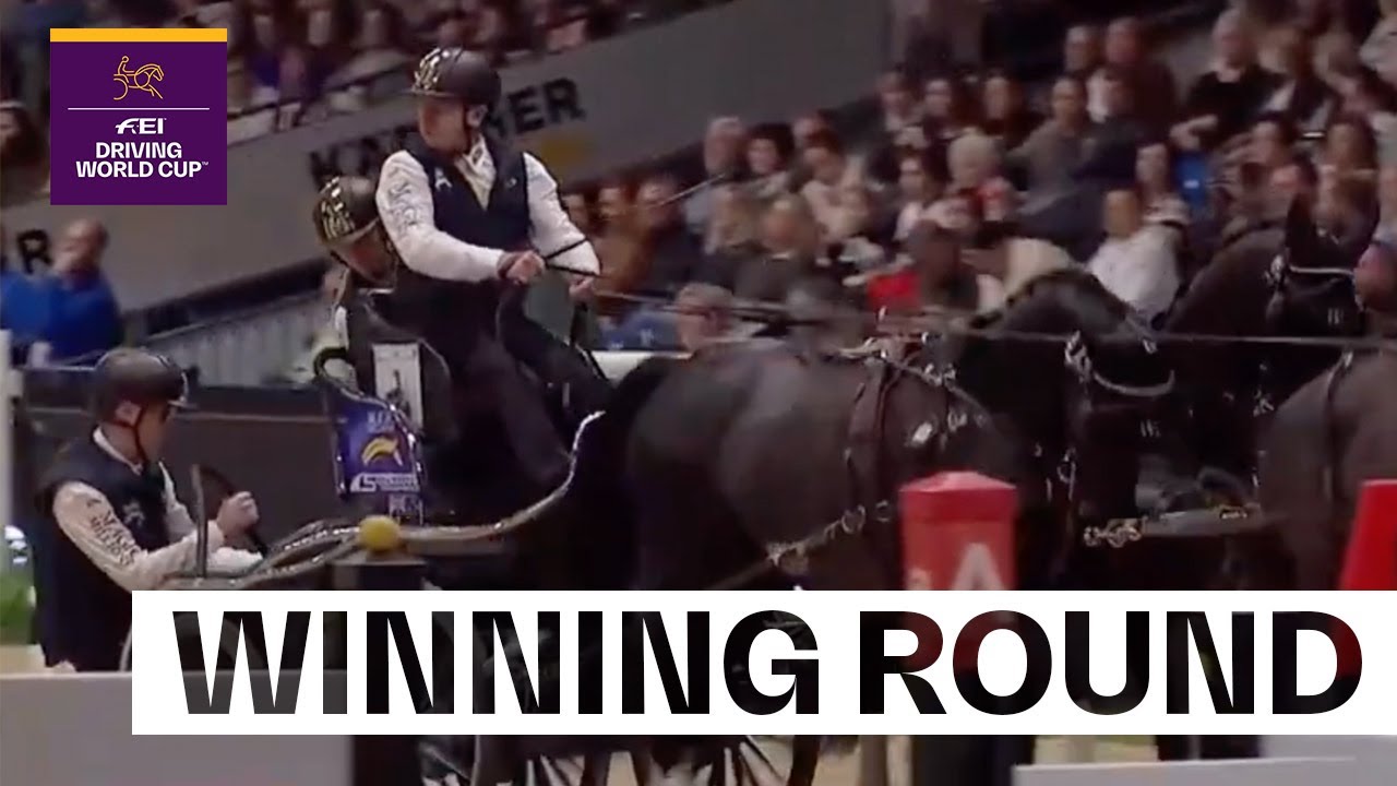 Back to back brilliance from Boyd! 🇦🇺 |  FEI Driving World Cup&trade; Stuttgart 2025
