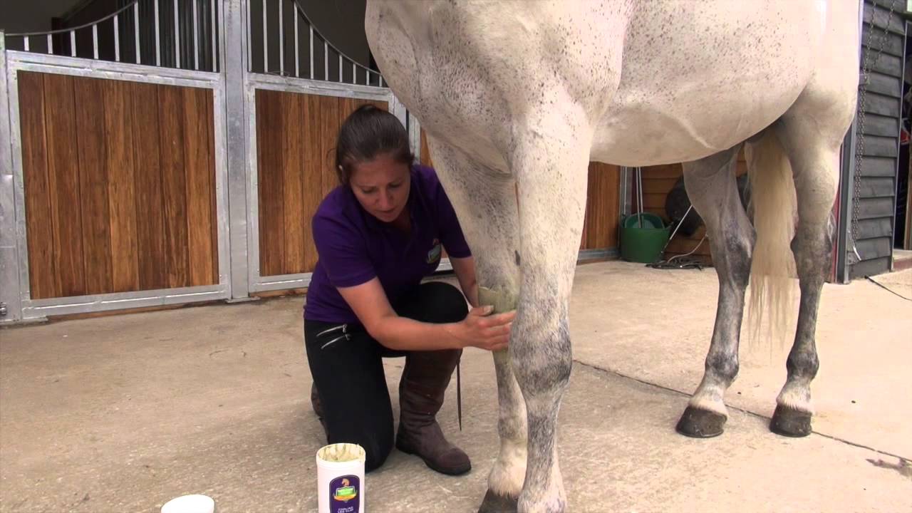 Safe-Care Equine - Applying Cooling Clay