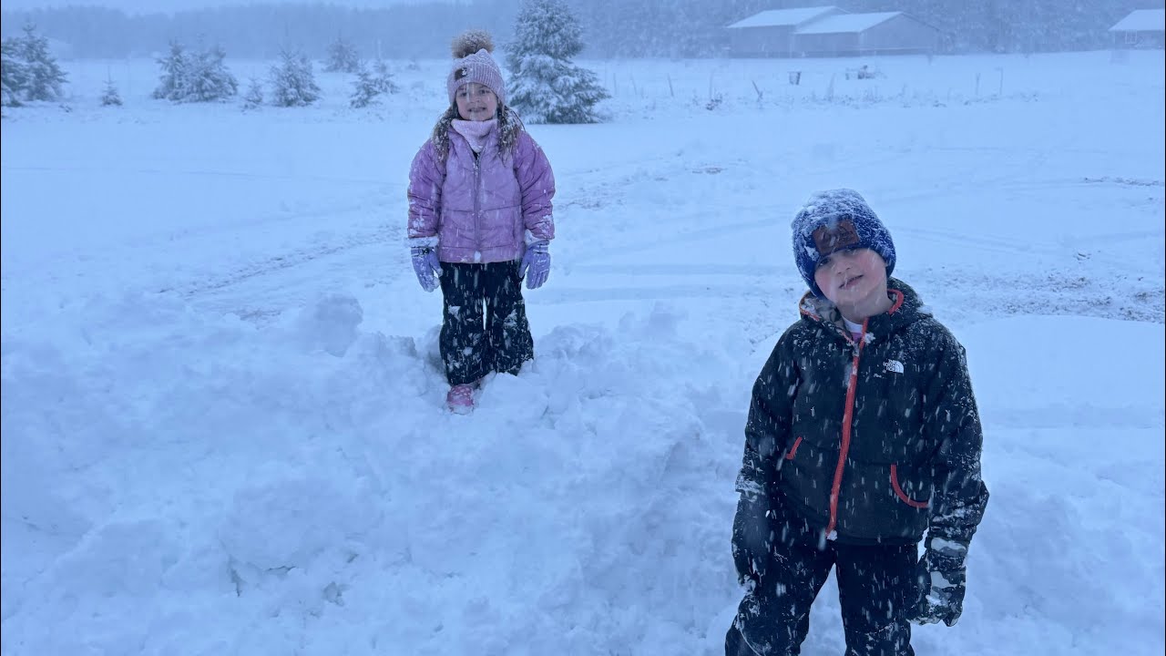 November 2025 - Hayes & Harlow Clips 