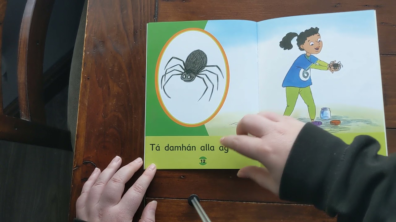 Na peata&iacute;