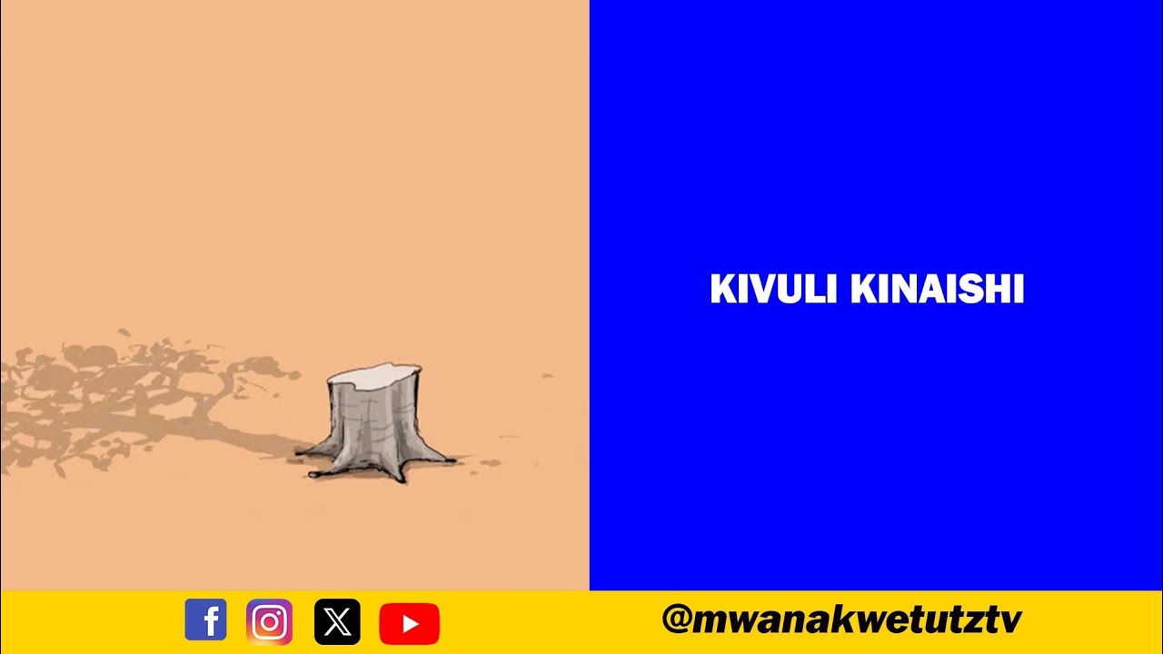 KIVULI KINAISHI