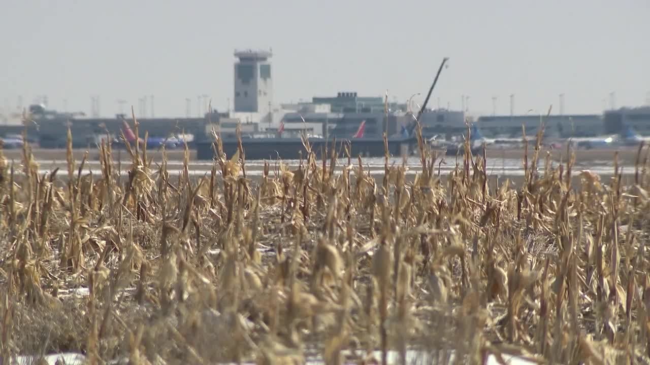 Meet the families still farming on Denver International Airport property 30 years later