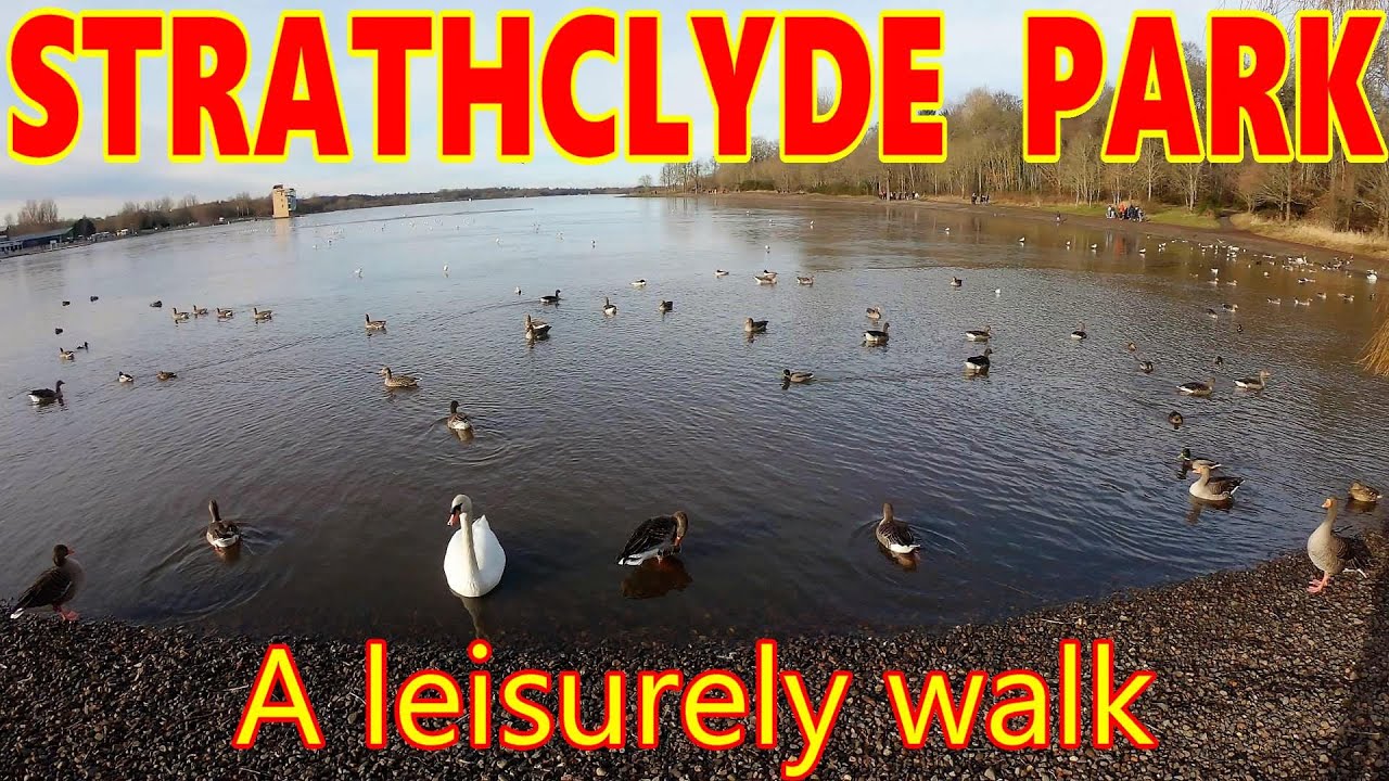 Strathclyde Park / River Clyde / Walking / Motherwell