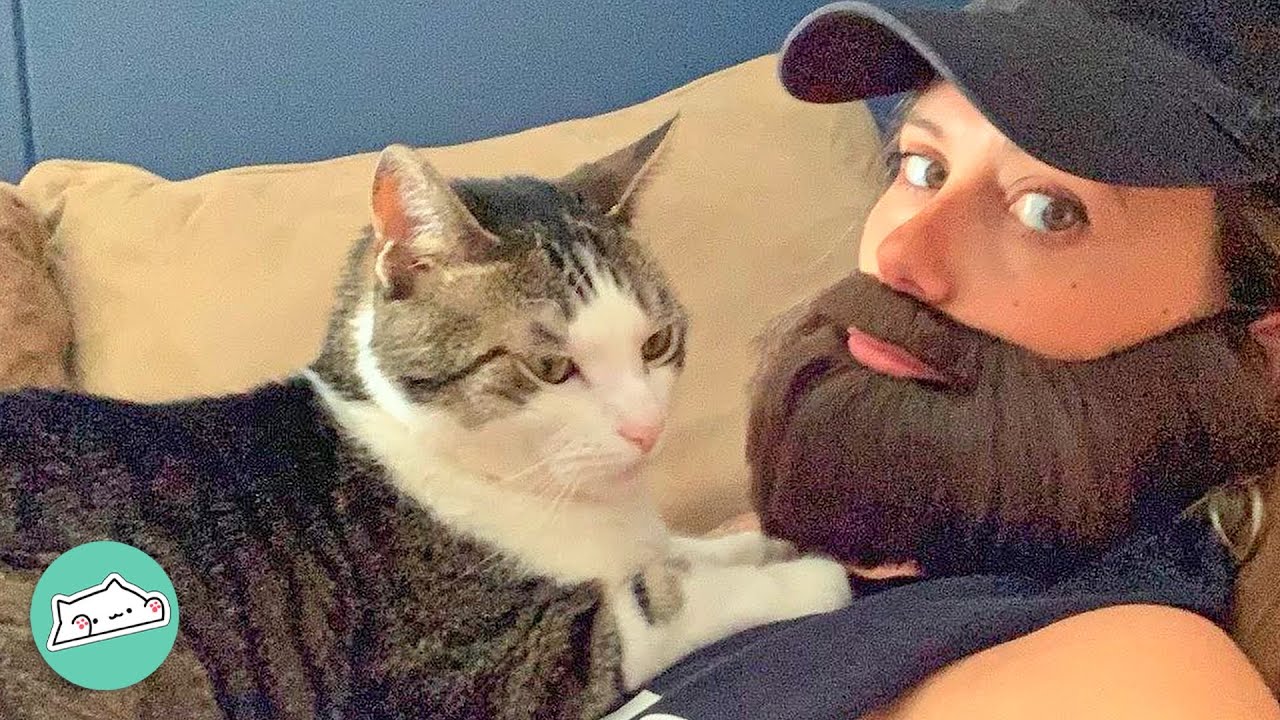 Cat Goes Nuts For A Fake Beard And It’s Getting Worse | Cuddle Buddies