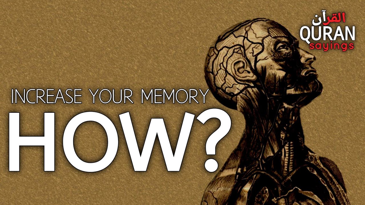 How to Increase your Memory Islamically?