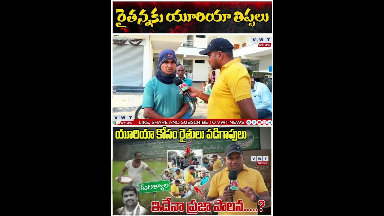 యూరియా బస్తాలు రైతులకు అందడం లేదు #shortsviral #latestnews #vwtnews #yuriya