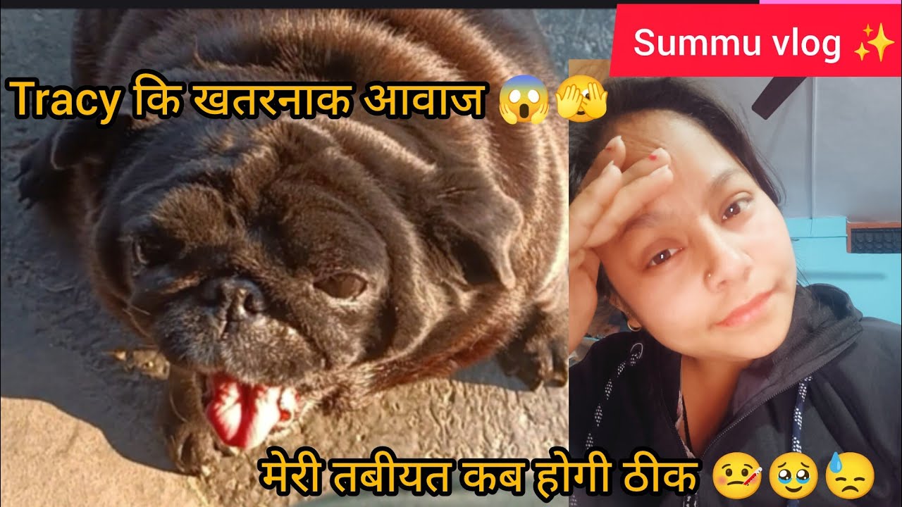 मेरी तबीयत कब होगी ठीक🤒🥹Tracy कि खतरनाक आवाज😱🫣।#summuvlog #february #day