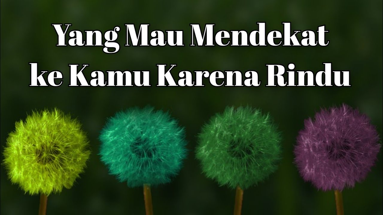 💙 Yang Mau Mendekat ke Kamu 