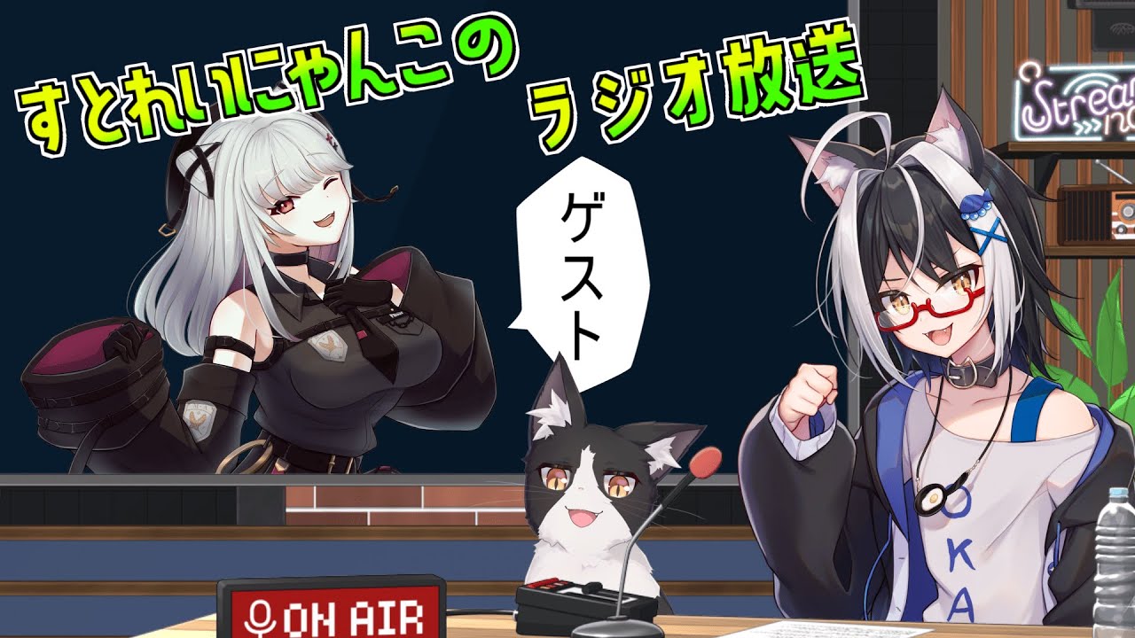 【雑談】不定期ラジオ配信　第1回目【すとねこラジオ】