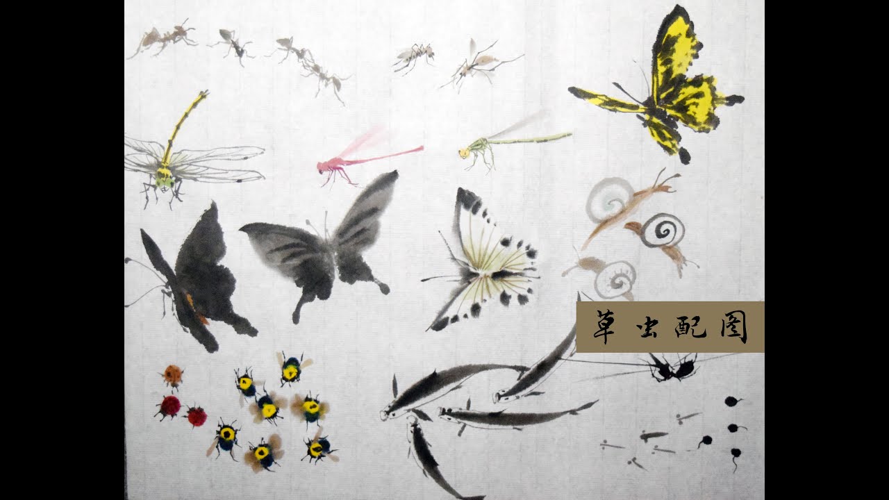 52 中国画 鱼虫配景 Chinese Brush Painting insects and fishes ect...