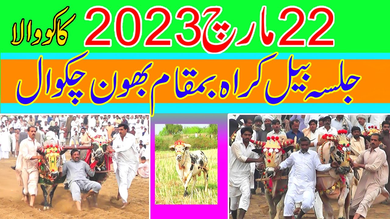 Jalsa Karah Bhun Chakwal ( 22 March 2023 ) by Saraiki chakwal