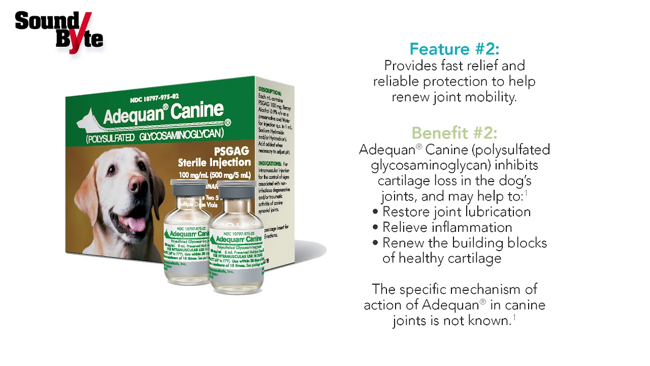 Adequan® Canine SoundByte: from: American Regent Animal Health