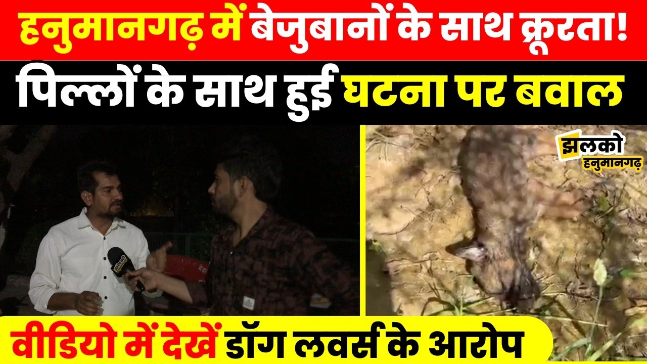 हनुमानगढ़ में बेजुबानों के साथ हुई घटना से मचा बवाल,प्रशासन से करवाई की मांग
