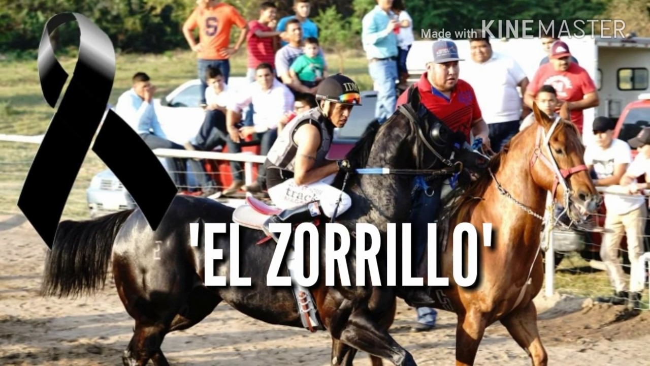 EL ZORRILLO(historias de carril)