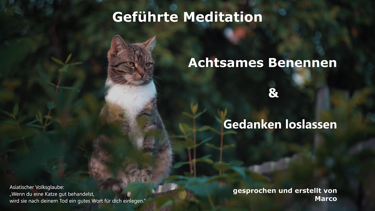 Geführte Meditation   Achtsames Benennen & Gedanken loslassen
