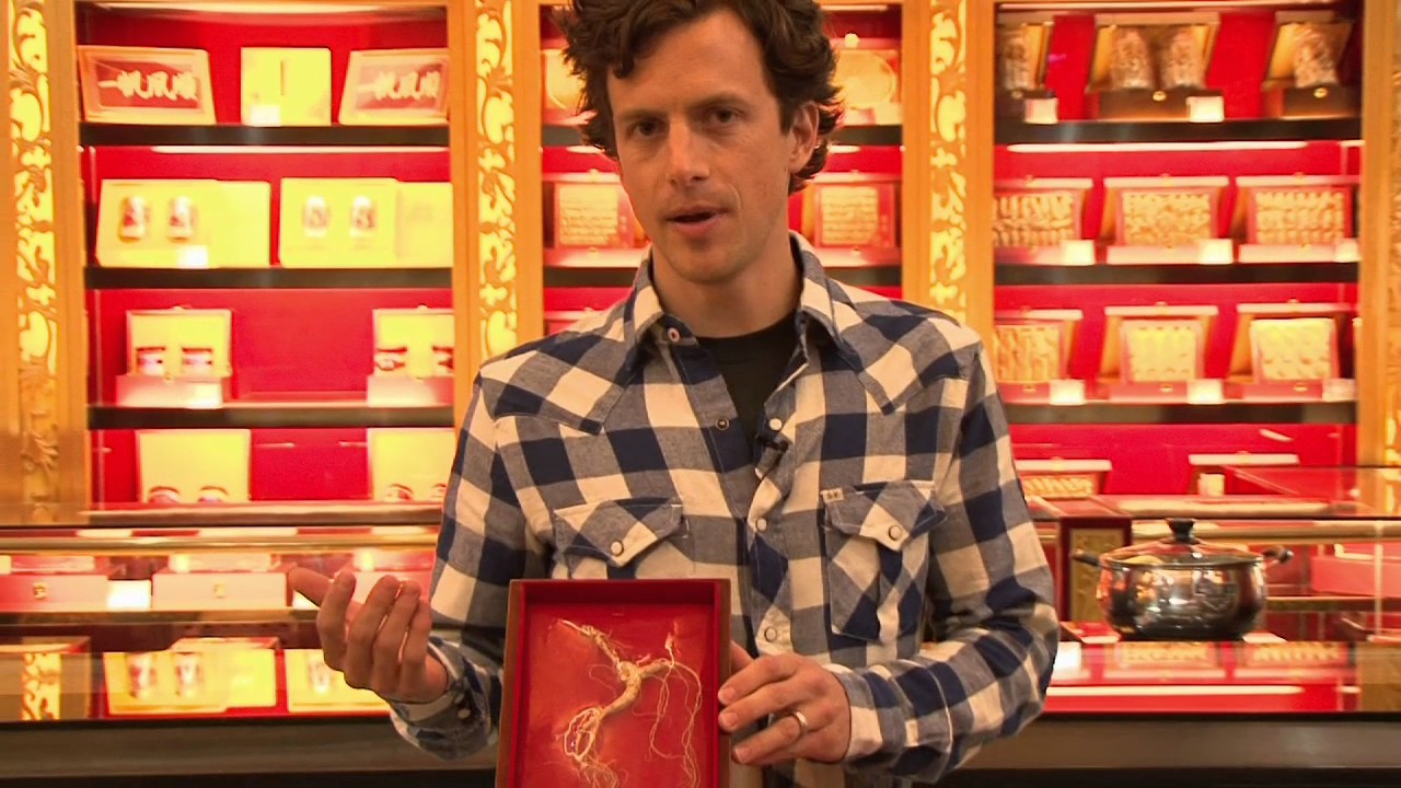 Chinese Medicine Master (full program)